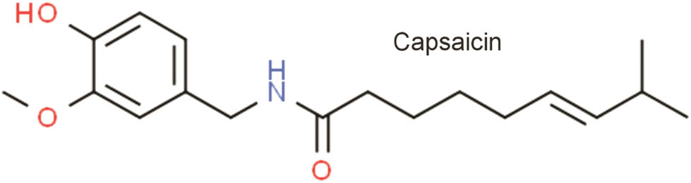 Scheme 1 
               Chemical structure of capsaicin.
            