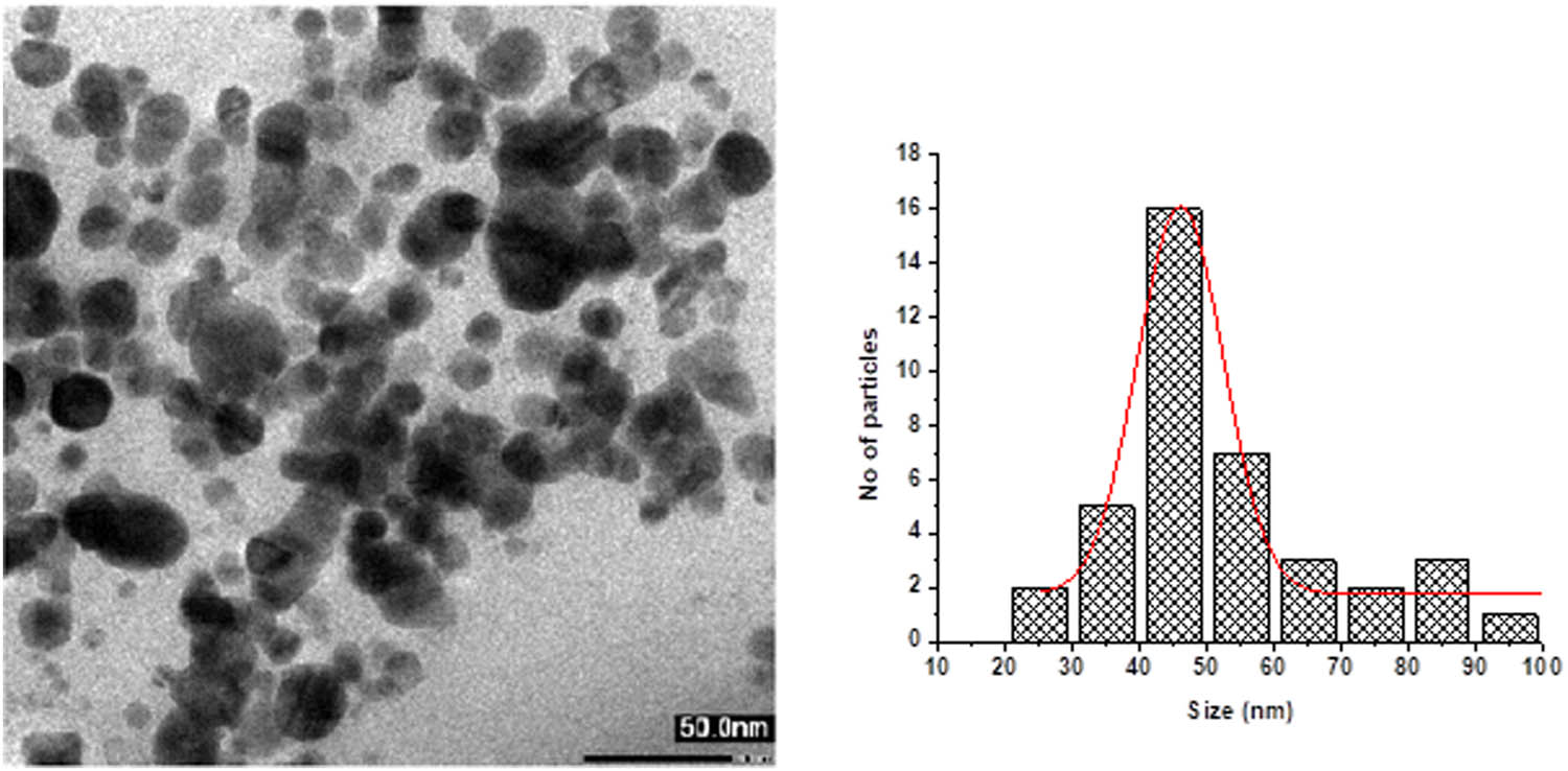 Figure 3
TEM Images of AKBA-Ag NPs and particle size distribution.