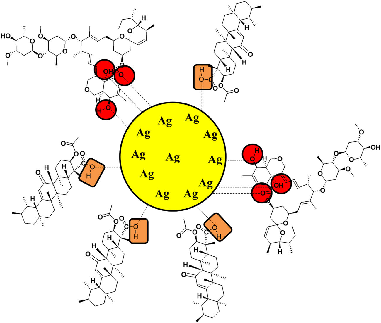 Figure 11
Sensing mechanism showing interaction of abamectin to surface of AKBA-Ag NPs.