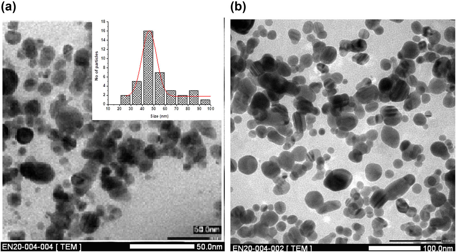 Figure 12
TEM images of AKBA-Ag NPs (a) before and (b) after interaction with abamectin.