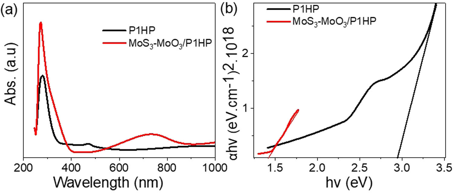 Figure 4
Optical analyses of the P1HP and MoS3–MoO3/P1HP nanocomposite: (a) absorbance and (b) bandgap.