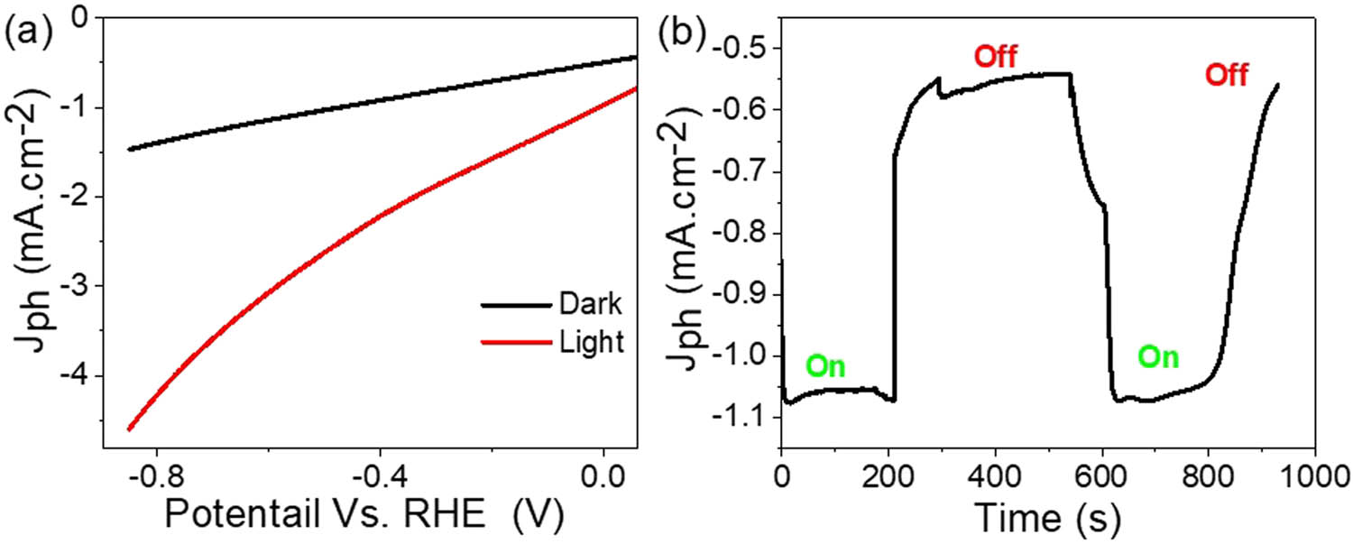 Figure 5
Photoelectrochemical response of the MoS3–MoO3/P1HP nanocomposite photocathode (a) under darkness and light and (b) chopped on/off the light.