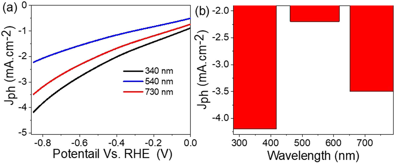 Figure 6
(a) Responsivity of the MoS3–MoO3/P1HP photocathode to different monochromatic light and (b) the estimated J
ph value at −0.85 V.