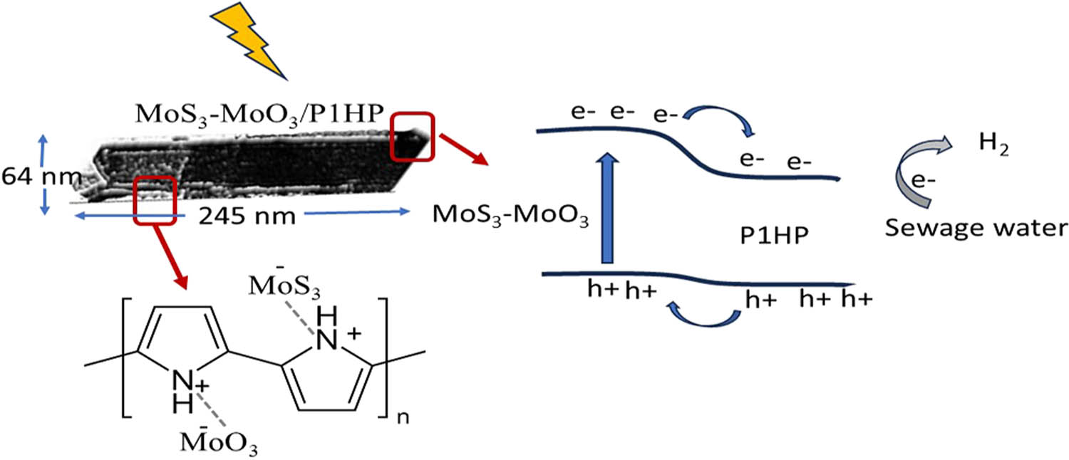 Figure 8
Schematic mechanism for the synthesized MoS3–MoO3/P1HP photocathode for the hydrogen generation from wastewater (through the rod-shaped particle) and mention the chemical formula of this nanocomposite.