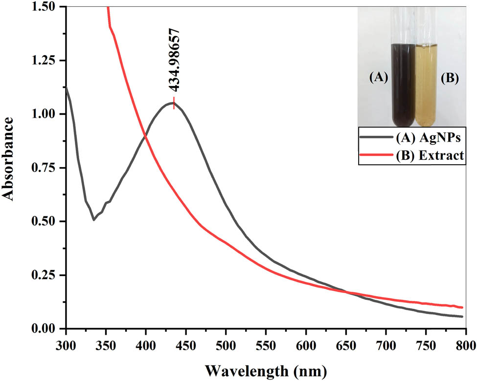 Figure 3 
                  UV-visible spectra of the plant extract and AgNPs.
               