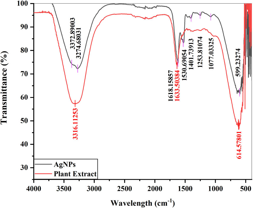 Figure 5 
                  FTIR spectra of AgNPs and the plant extract.
               