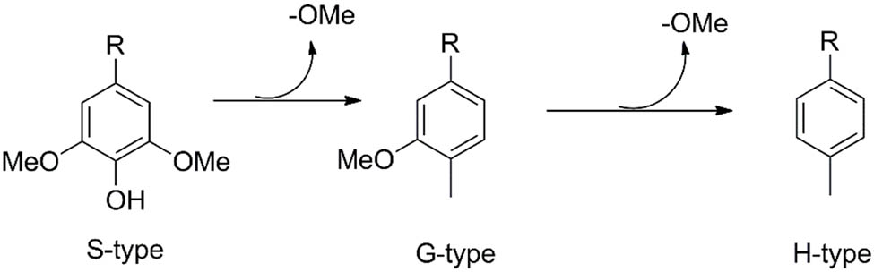 Figure 7
Demethoxylation of S-unit to G-unit and then to H unit.
