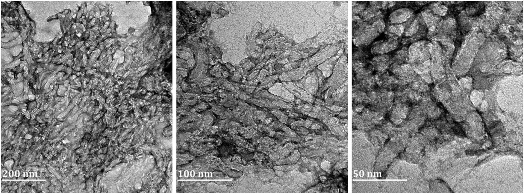 Figure 9
TEM images of the synthesised lignin-PEO blend nanofibres.