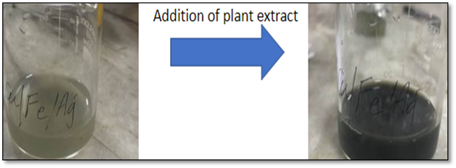 Figure 1 
                  The metal precursor turns a dark greenish tint after the plant extract is added.
               