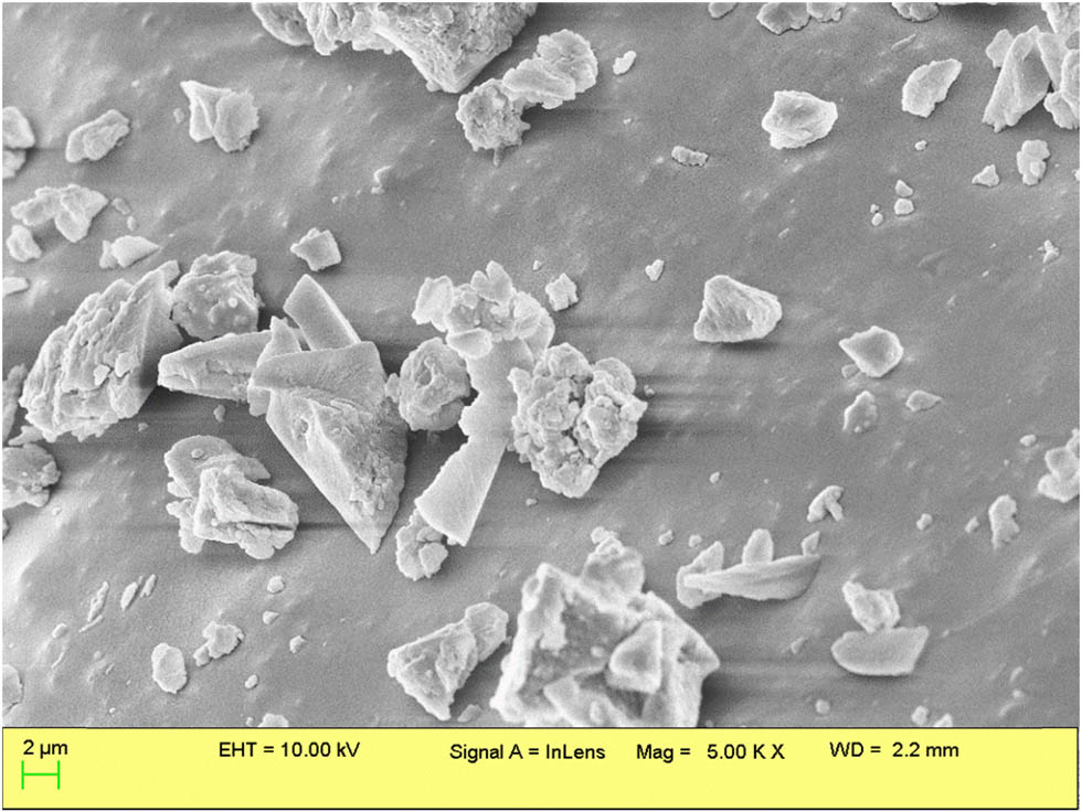 Figure 5 
                  SEM analysis of synthesized NPs.
               