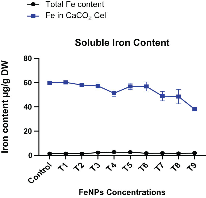 Figure 9 
                     Iron contents absorption by CaCO2 culture cells at various iron nanoparticle concentrations. The data in the graphs were expressed in terms of means ± SD, while the P value was kept <0.05.
                  