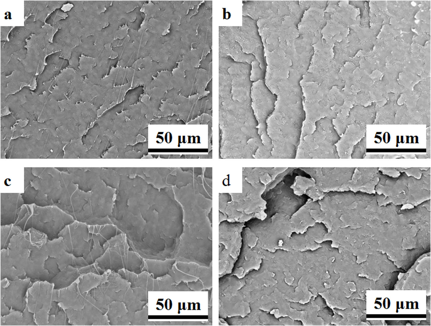 Figure 2
SEM images of fractured surfaces in HDPE/UHMWPE composites, pre- and post-annealing: (a) 1% UHMWPE, (b) 1% UHMWPE post-annealing, (c) 5% UHMWPE, and (d) 5% UHMWPE post-annealing.