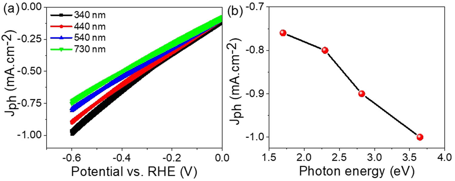 Figure 5 
                  The electrochemical response of the fabricated PbI2-P1HP PS-nanocomposite photocathode to the photons with various energies and (b) the evaluated J
                     ph for photons with different energies.
               