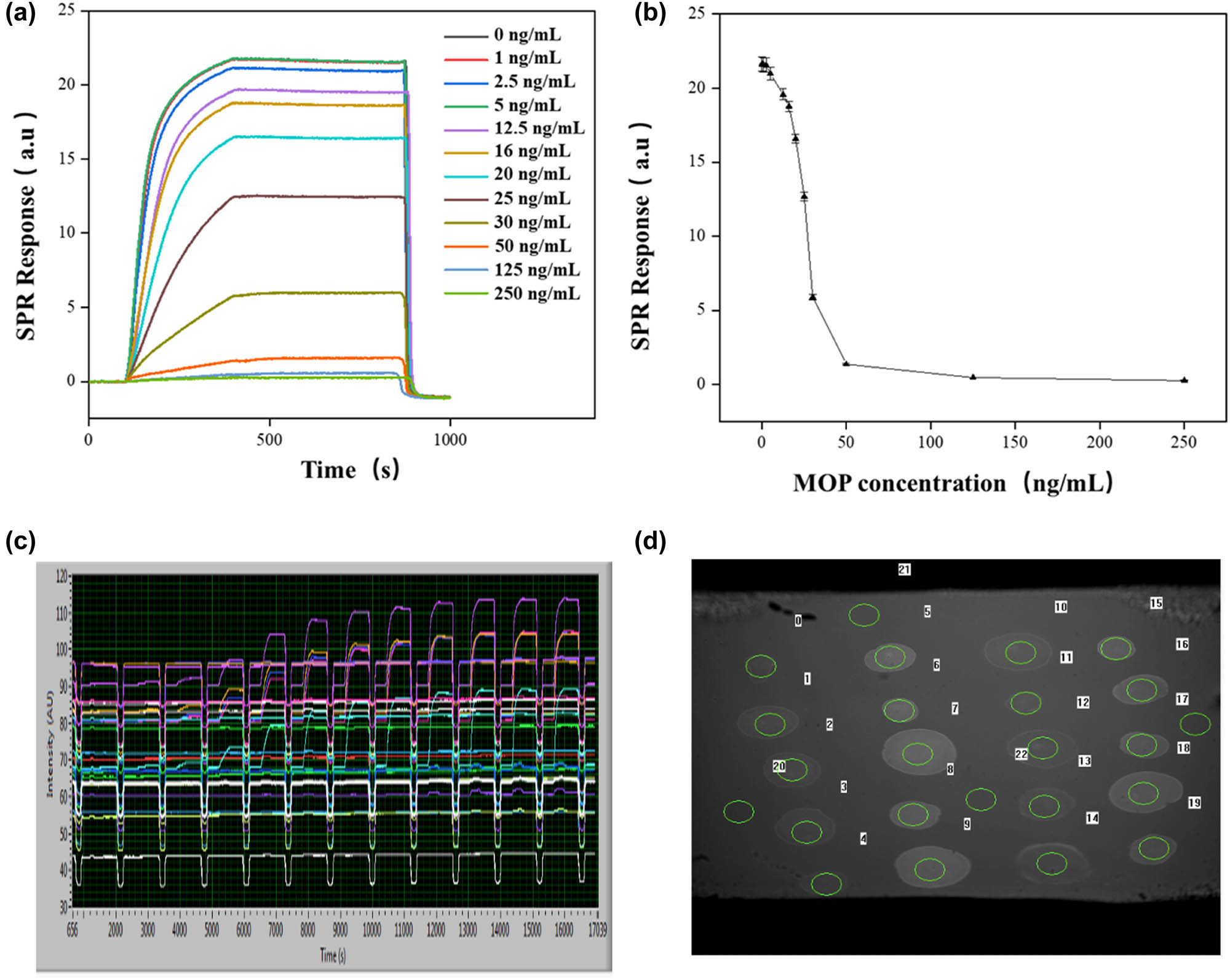 Figure 3 
                  (a) SPRi signal curve from different concentrations of morphine, (b) scattered data points of SPRi signal values against concentrations of morphine, (c) the signal interface of SPRi detector, and (d) the SPRi image of morphine samples at a range of concentrations on the sensor chip.
               