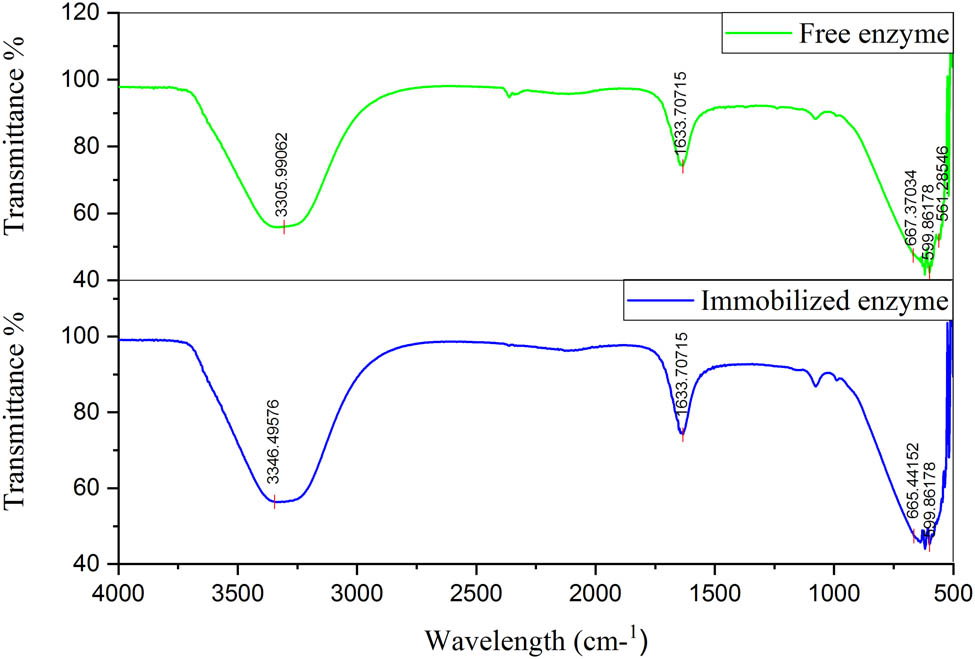 Figure 8
Fourier transform IR spectra for comparison between free and Al2O3-immobilized enzyme.