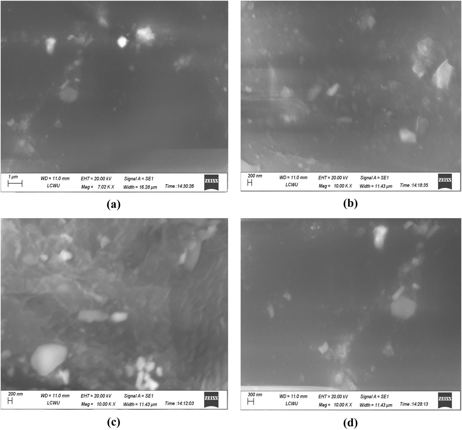 Figure 10
SEM micrographs of Al2O3 NCs immobilized β-glucosidase resolved at different magnifications: (a) 1 µm at 7.02 KX, (b) 200 nm at 10.00 KX, (c) 200 nm at 10.00 KX, and (d) 300 nm at 10.00 KX.