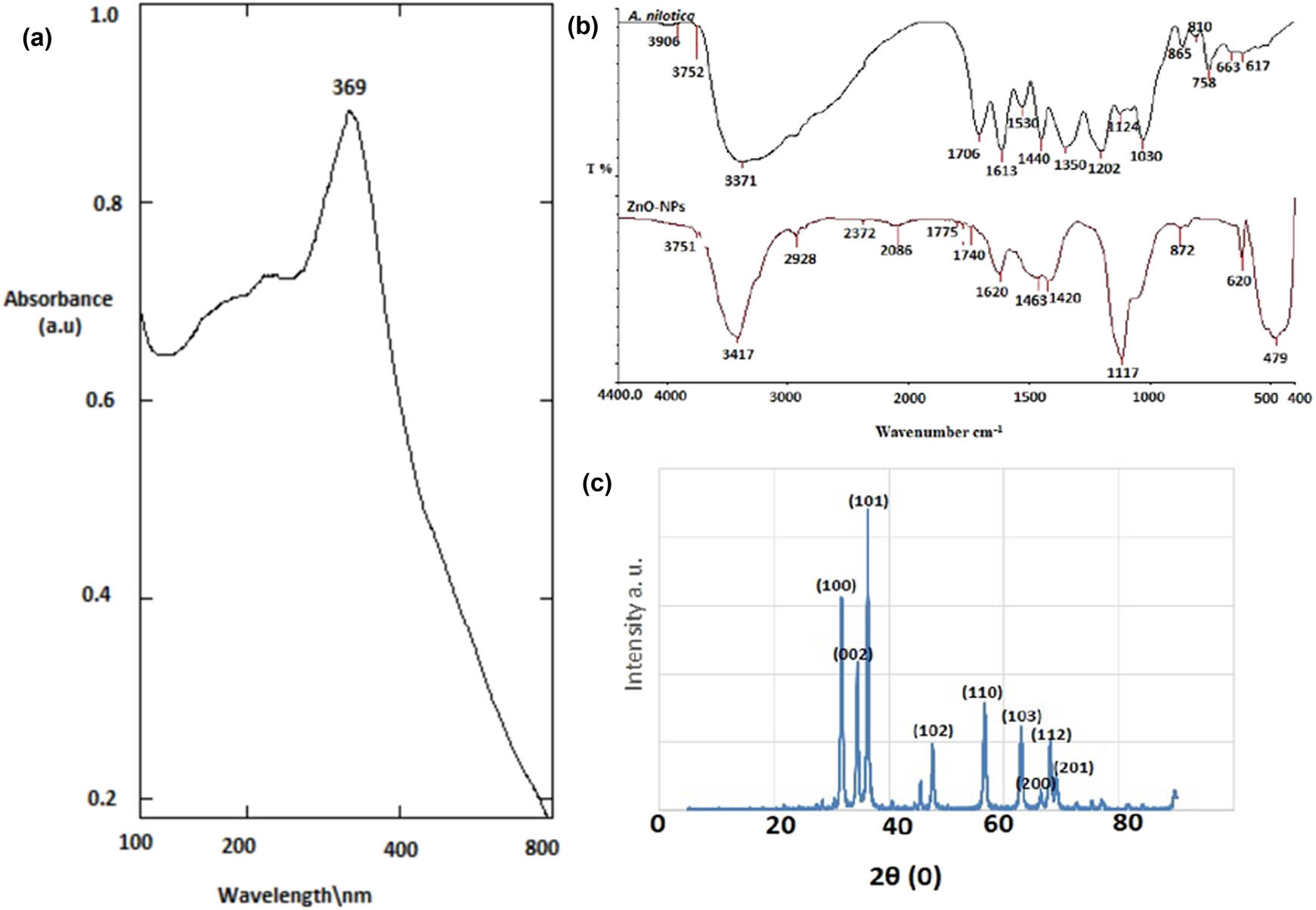 Figure 1 
                  (a) UV-vis spectra of ZnO-NPs, showed absorbance peak at 369 nm which confirm the formation of ZnO-NPs. (b) FTIR to detect the chemical functional group in ZnO-NPs and the aqueous extract of A. nilotica. (c) XRD of ZnO-NPs.
               