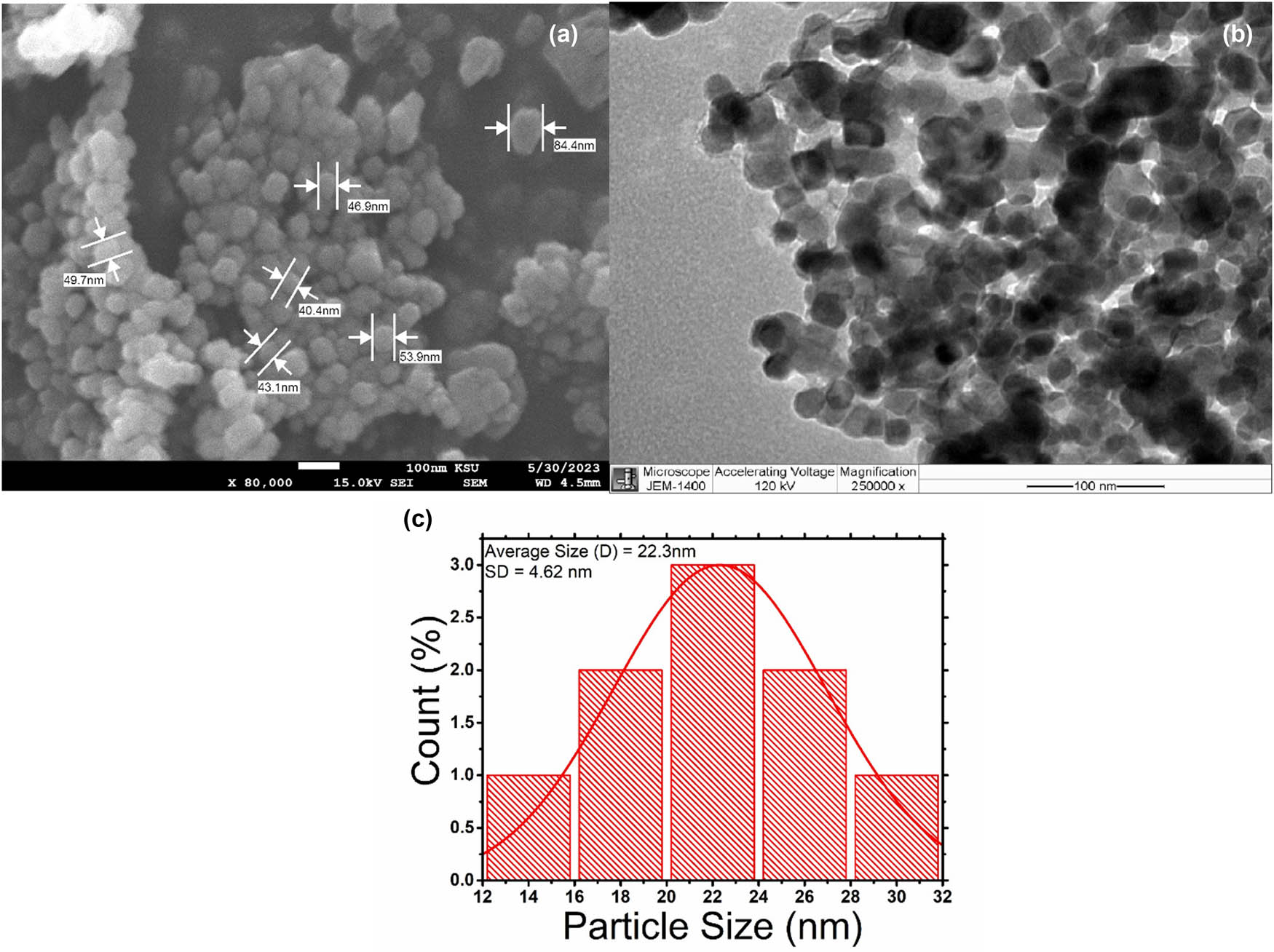 Figure 2 
                  (a) SEM to study the size, shape, and distribution of ZnO-NPs. (b) TEM to study the size, shape, and distribution of ZnO-NPs. (c) Average particle size of ZnO-NPs determined by TEM.
               