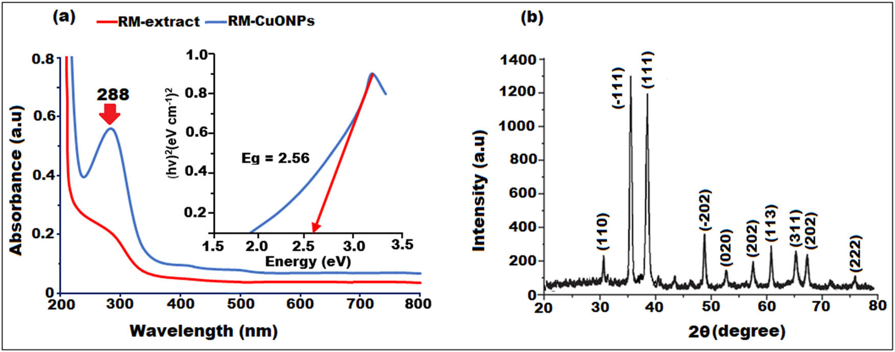 Figure 2 
                  (a) UV–vis spectrum and bandgap energy (inset) of biosynthesized RM-CuONPs. (b) XRD pattern of biosynthesized RM-CuONPs.
               