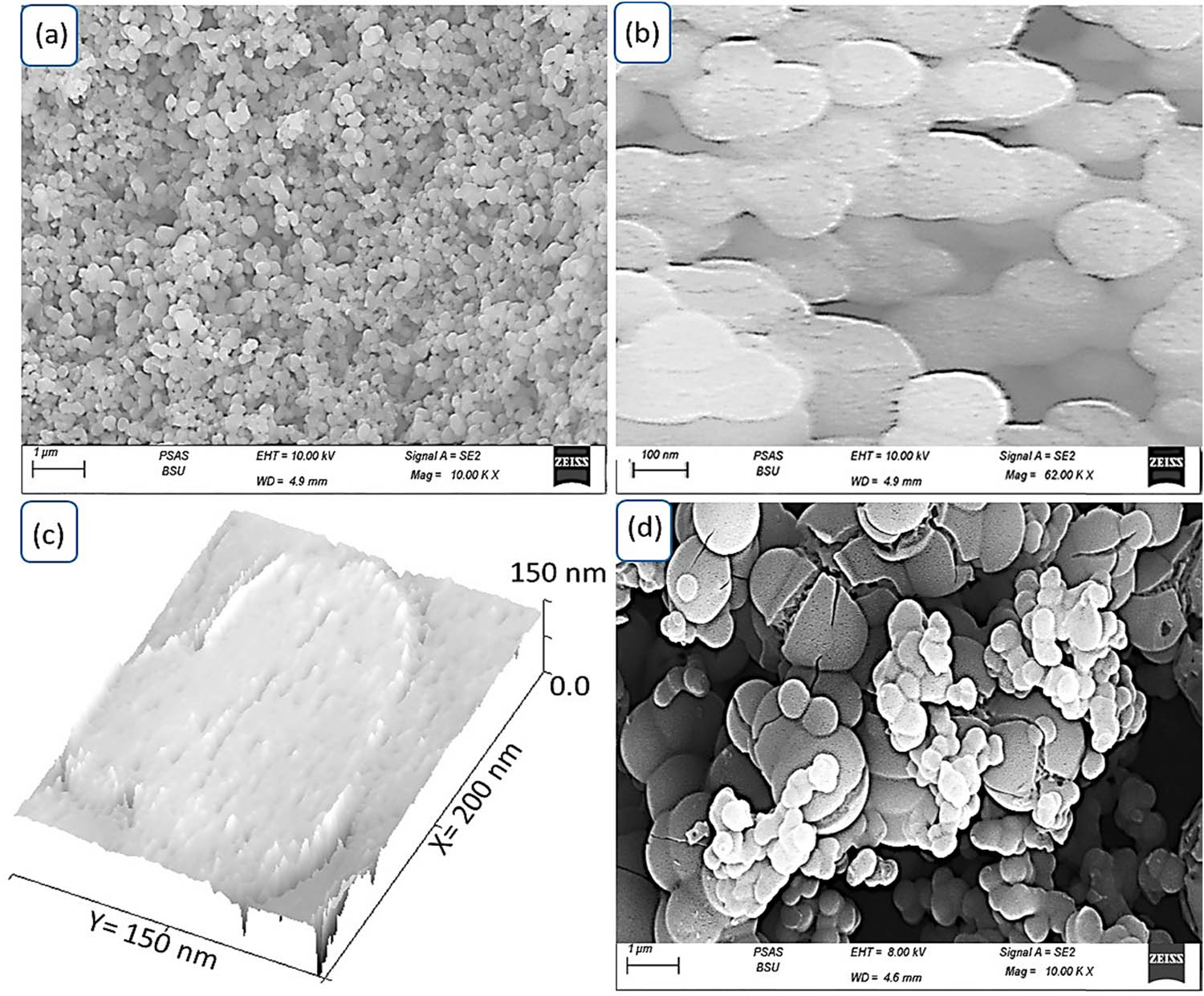 Figure 3 
                  The topographic and morphological of the MoS3–MoO3/PA2MB nanocomposite: (a) SEM at different magnifications for this composite, (c) theoretical simulation, and (d) SEM of PA2MB.
               