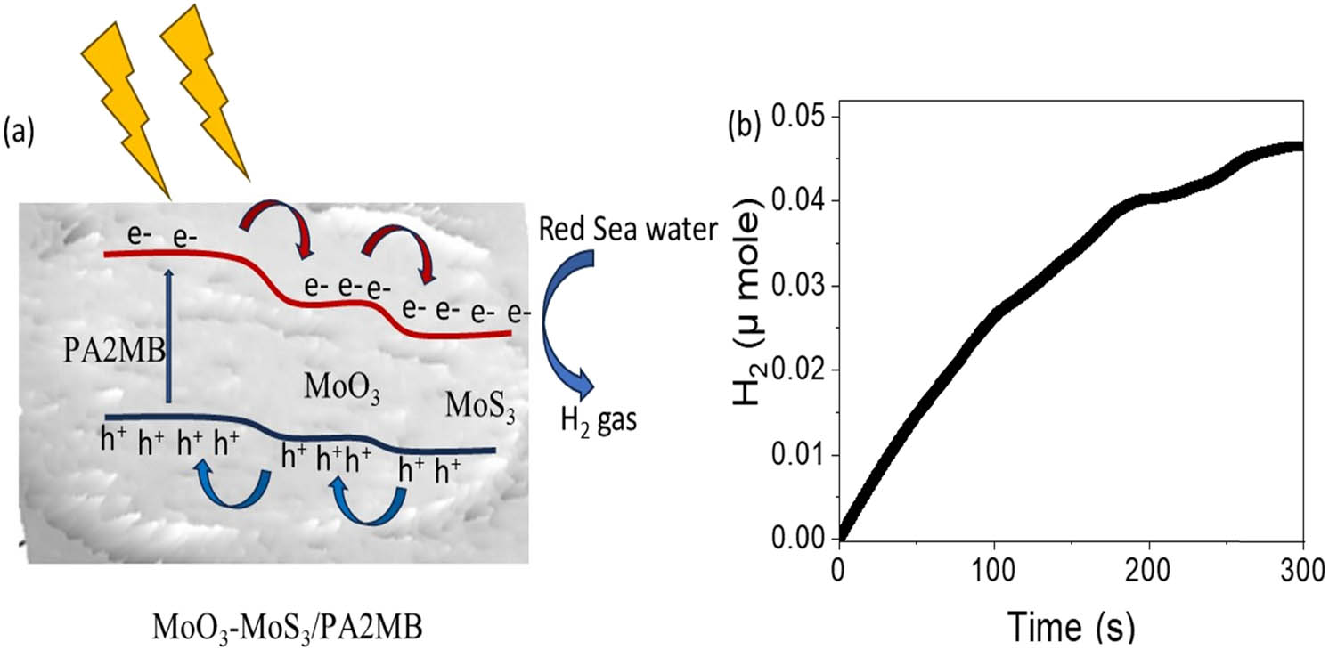 Figure 7 
                  The estimated (a) mechanism and (b) H2 moles with time on the fabricated MoO3–MoS3/PA2MB photocathode for the H2 gas generation.
               