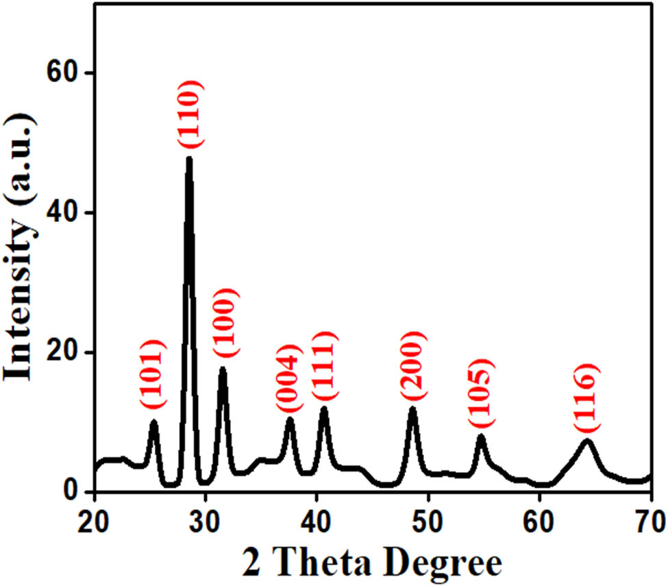 Figure 4 
                  XRD patterns of synthesized TiO2 NPs.
               