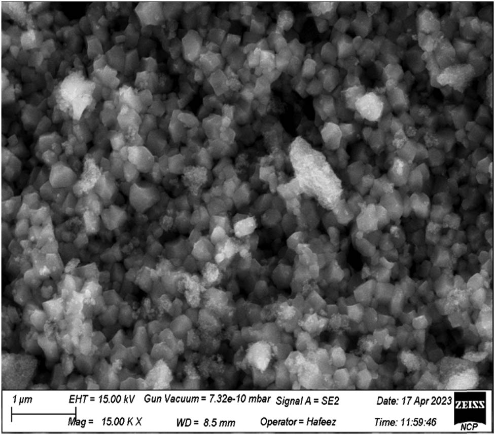 Figure 5 
                  SEM image of synthesized TiO2 NPs.
               