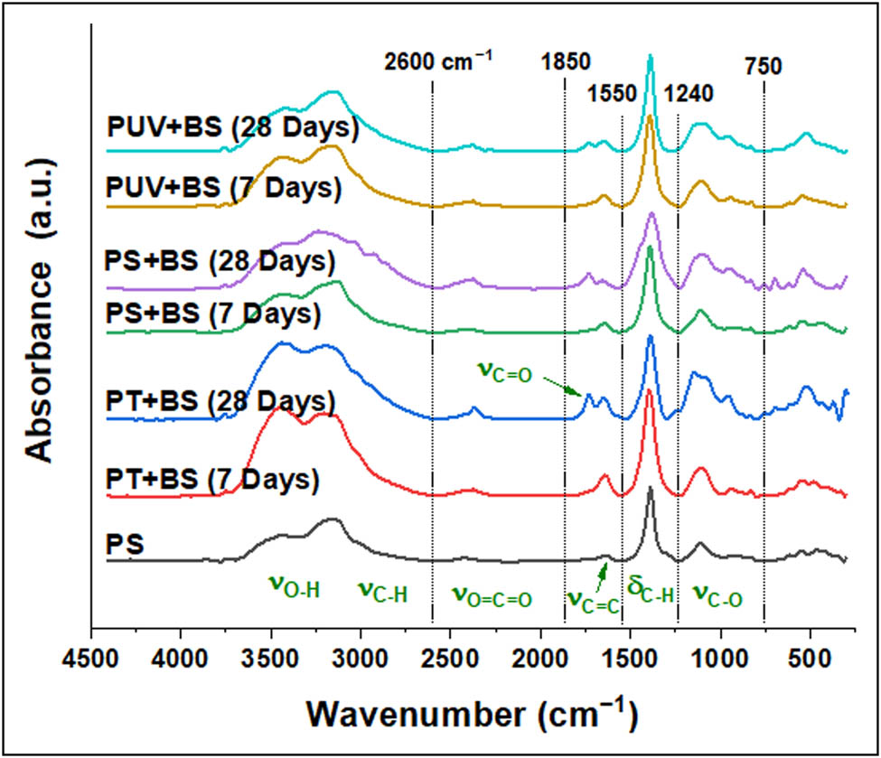 Figure 6
FTIR spectra of plastic waste: PS pristine; plastic treated with temperature for a week (PT + BS-w1) and for 4 weeks (PT + BS-w4); treated with microorganism for a week (PS + BS-w1) and 4 weeks (PS + BS-w4); treated with light irradiation and microorganism for a week (PUV + BS-w1) and for 4 weeks (PUV + BS-w4). Spectral peaks were roughly categorized into six regions for simplicity.