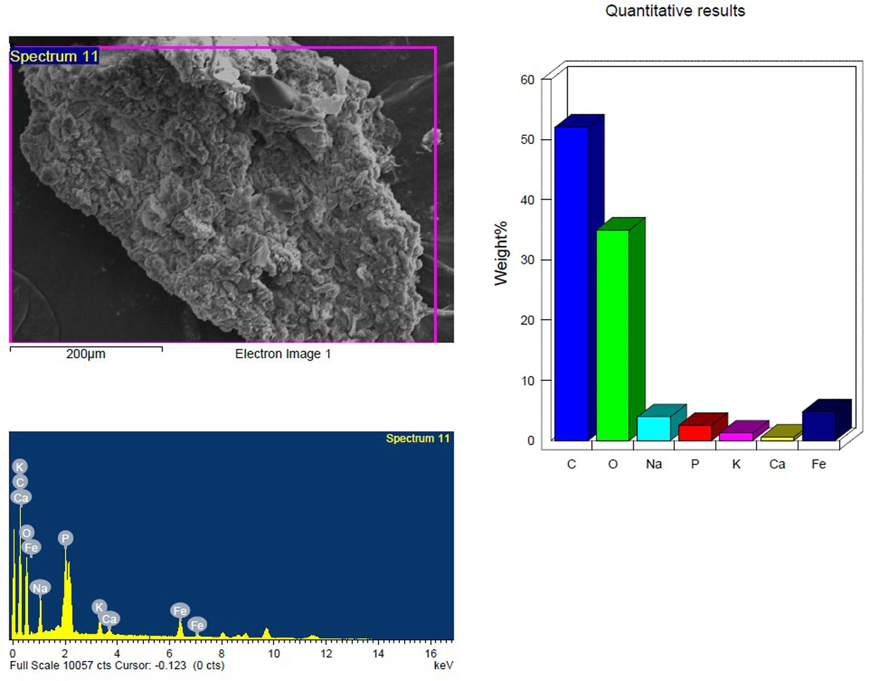 Figure 11
SEM and EDX analysis of the temperature-treated inoculated PS-MP sample in the first week showing the elemental composition.