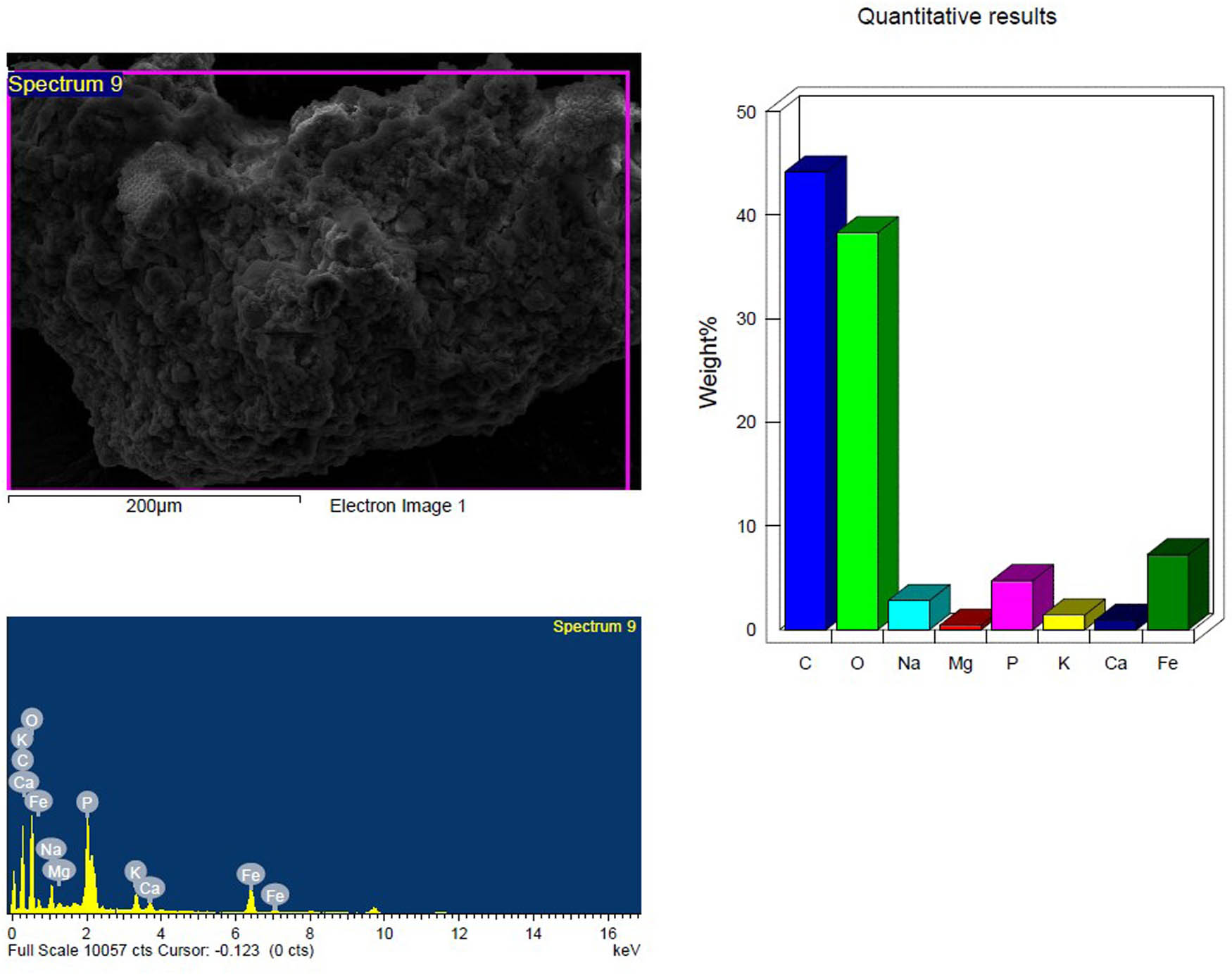 Figure 12
SEM and EDX analysis of the temperature-treated inoculated PS-MP sample after 4 weeks showing the elemental composition.