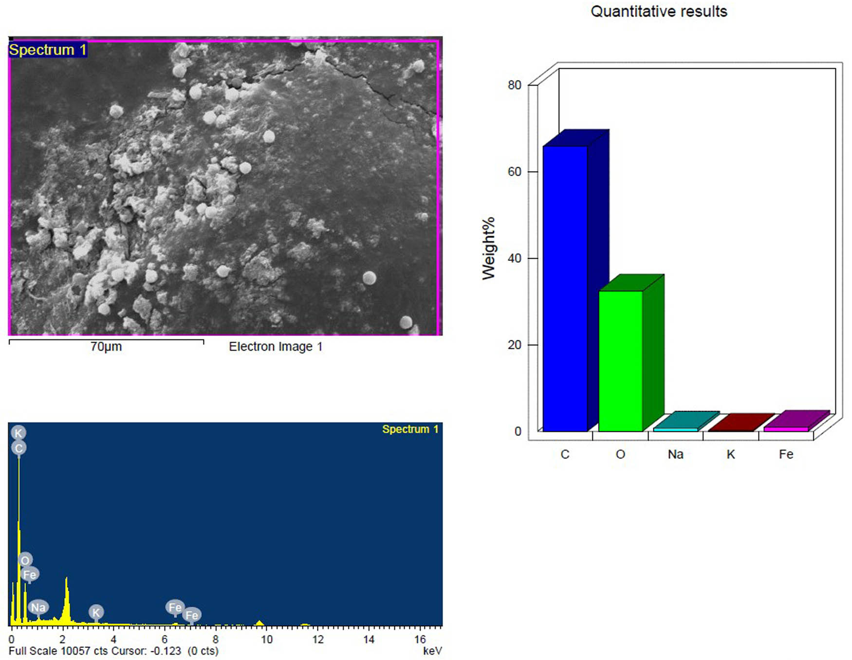 Figure 13
SEM and EDX analysis of the UV treated inoculated PS-MP sample in the first week showing the elemental composition.