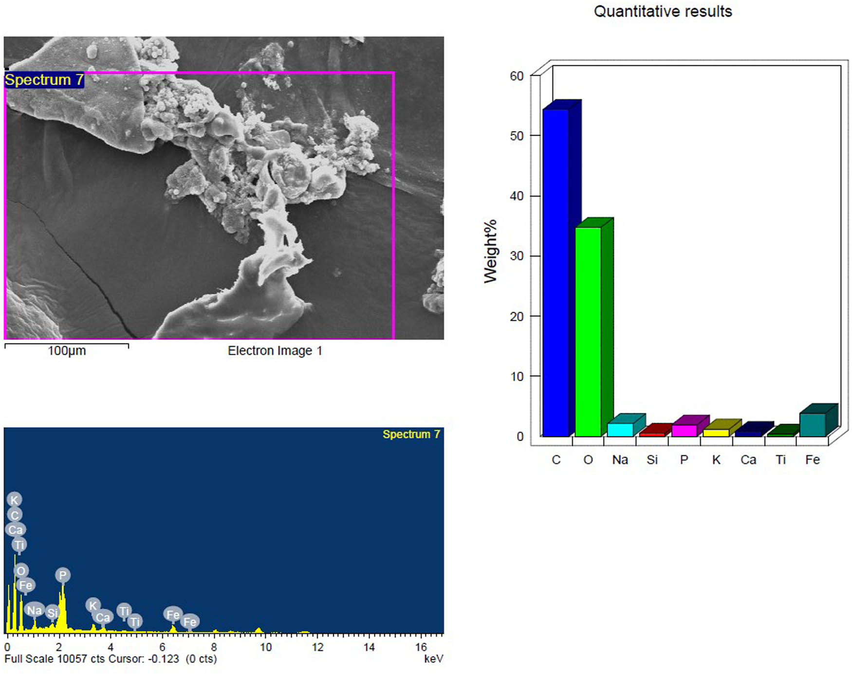 Figure 14
SEM and EDX analysis of the UV treated inoculated PS-MP sample after 4 weeks showing the elemental composition.