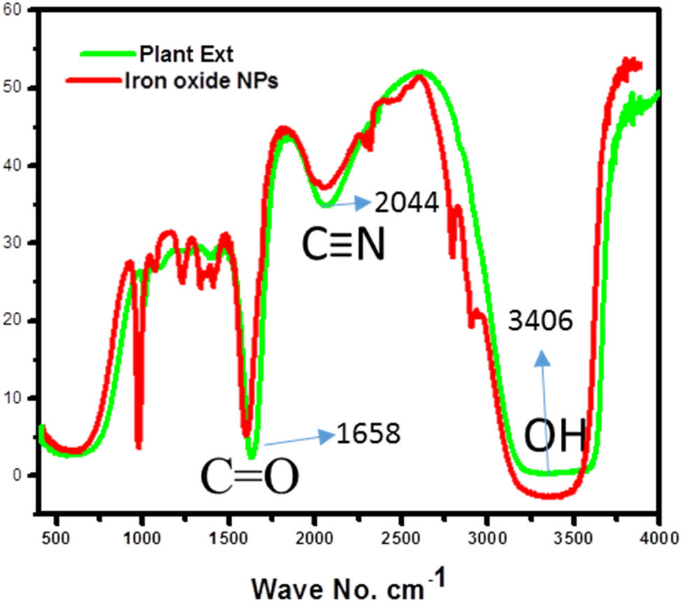 Figure 2 
                     
                        E. milii ext and IONP FTIR spectra.
                  