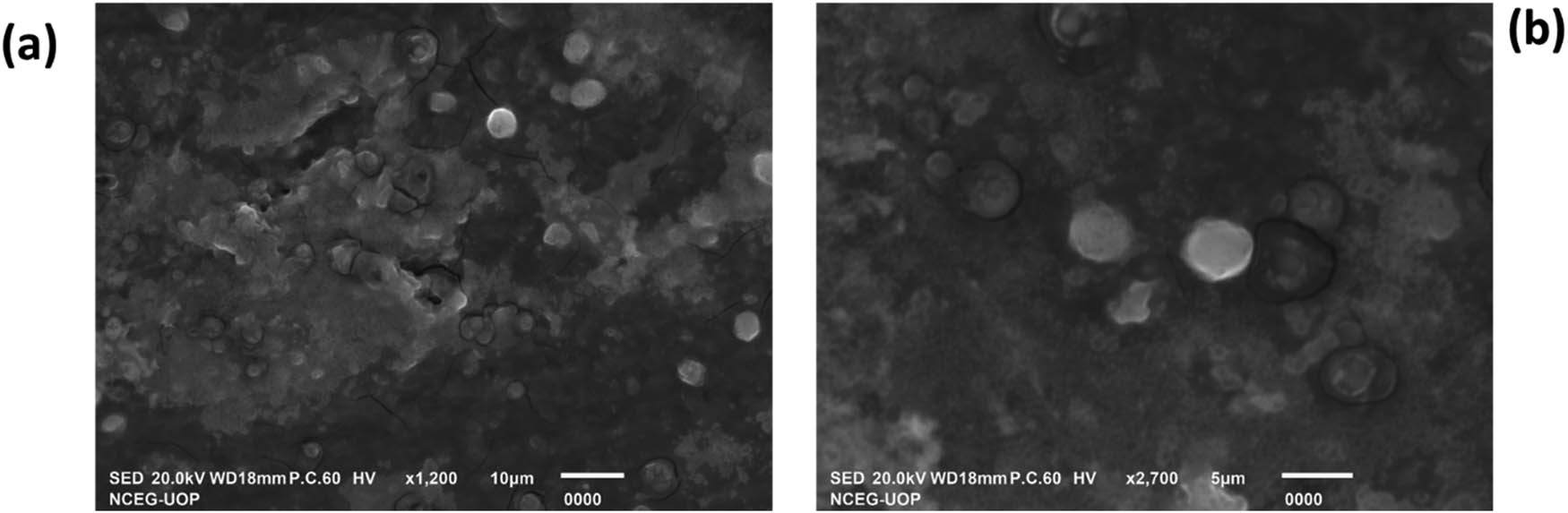 Figure 3 
                     SEM images of IONPs. Low resolution (a) and high resolution (b).
                  