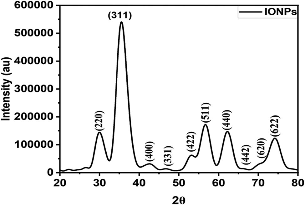 Figure 5 
                     XRD of synthesized IONPs.
                  