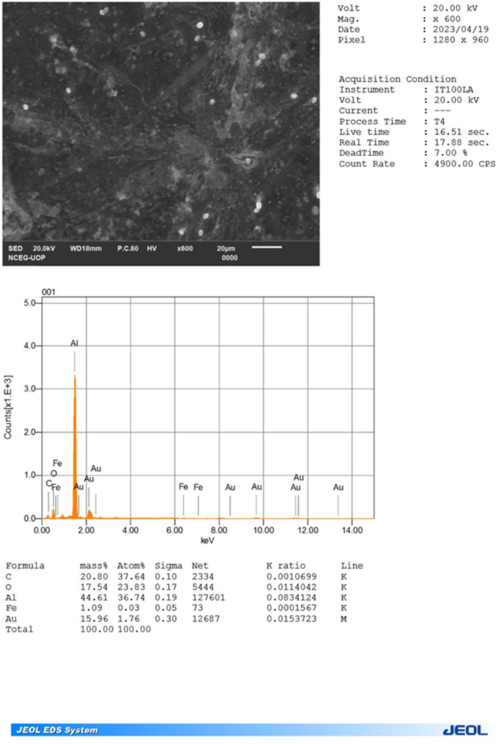 Figure 7 
                     EDS spectrum of the synthesized IONPs.
                  