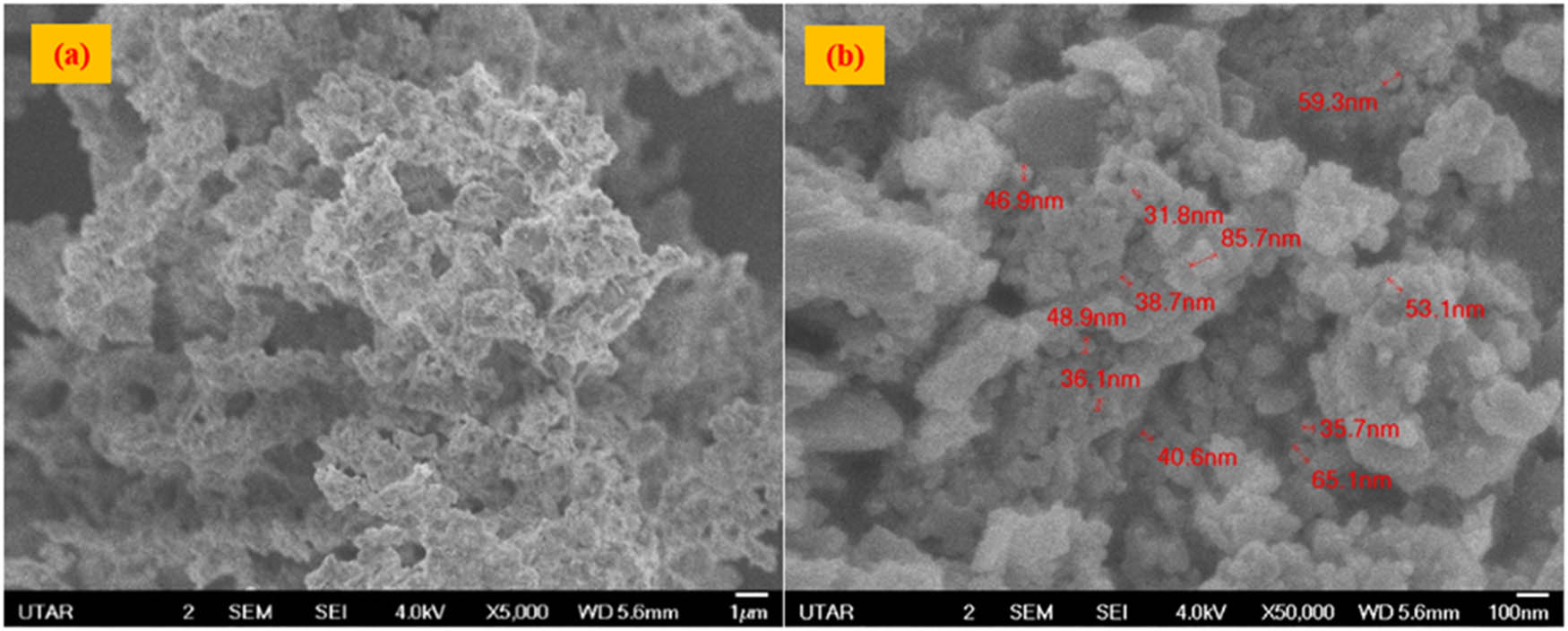 Figure 4 
                     Morphology of the synthesized CuO/ZnO NC by FE-SEM: (a) 5,000× and (b) 50,000× magnifications.
                  