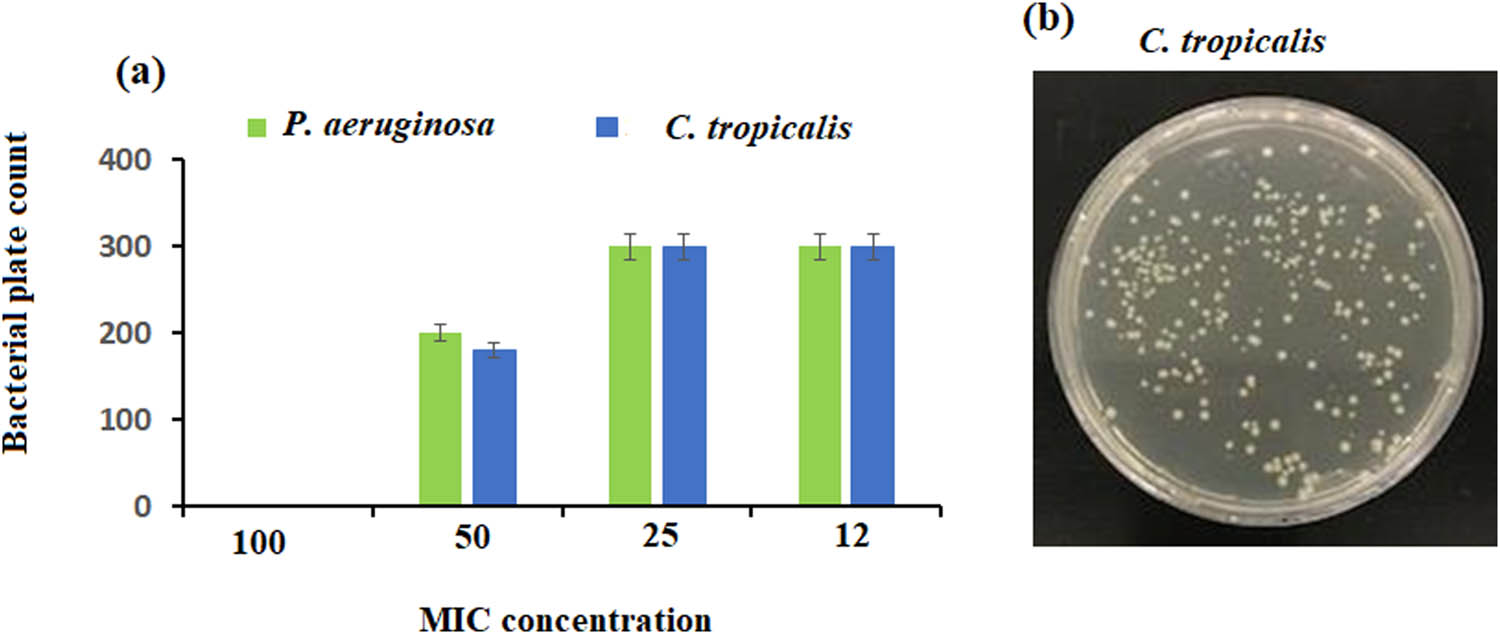 Figure 13 
                  (a) MIC in vitro assay of P. aeruginosa and C. tropicalis showed similar MIC 50 of 0.5 mg·mL−1 concentration against ZnO NPs indicated by (b) a lower count on MH agar plates.
               