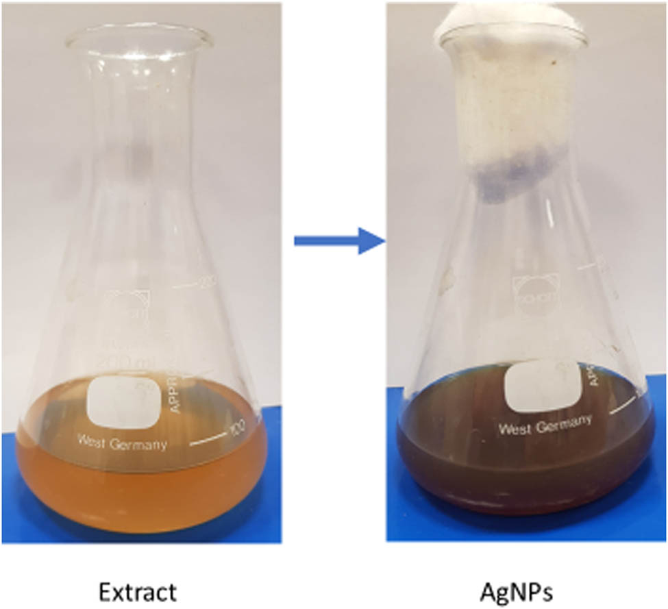 Figure 1
Color change during the biosynthesis of T. polium AgNPs.
