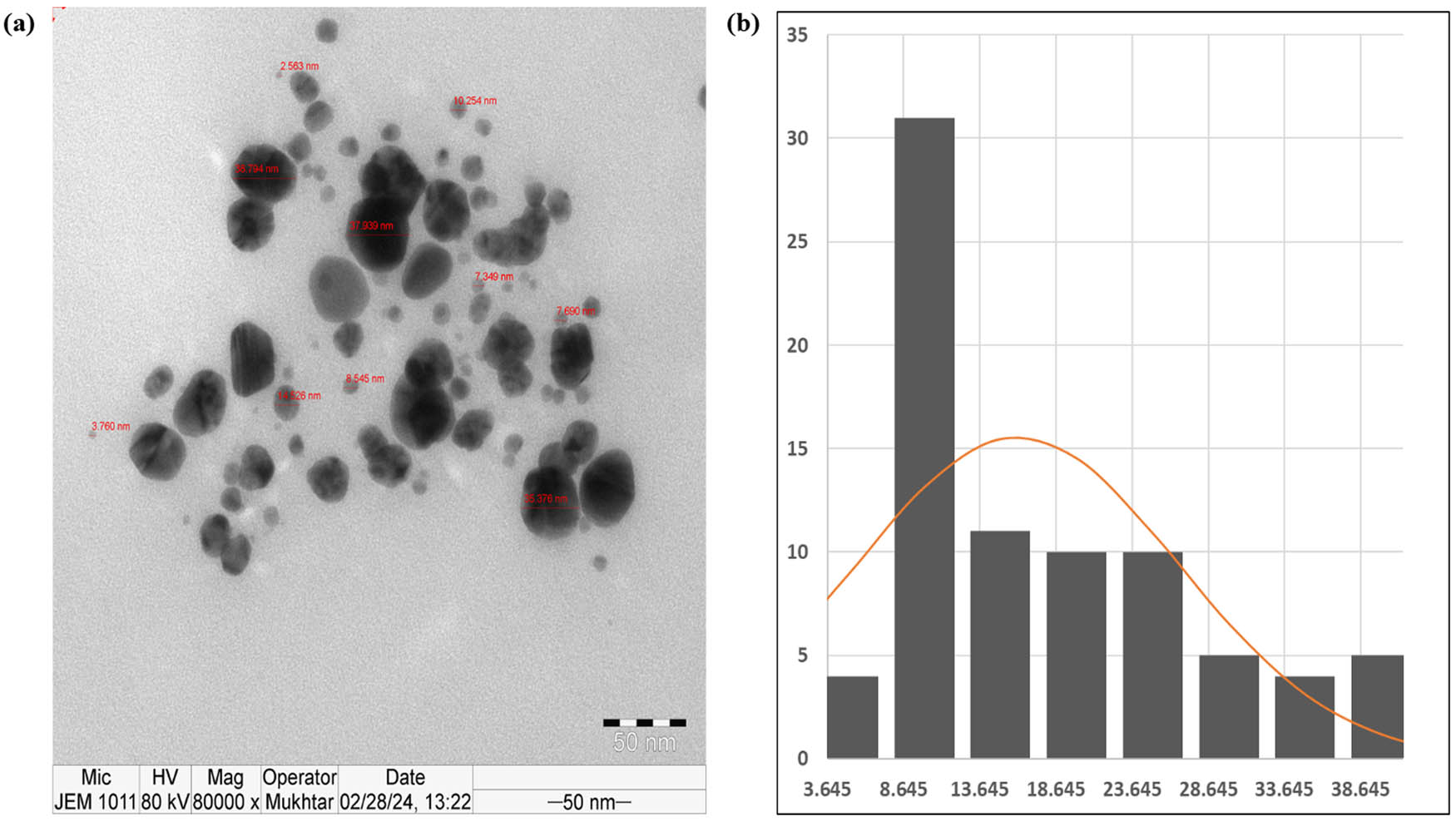 Figure 6
TEM of the synthesized AgNPs. (a) TEM image and (b) particle size distribution for the sample fitted with a log-normal distribution function.