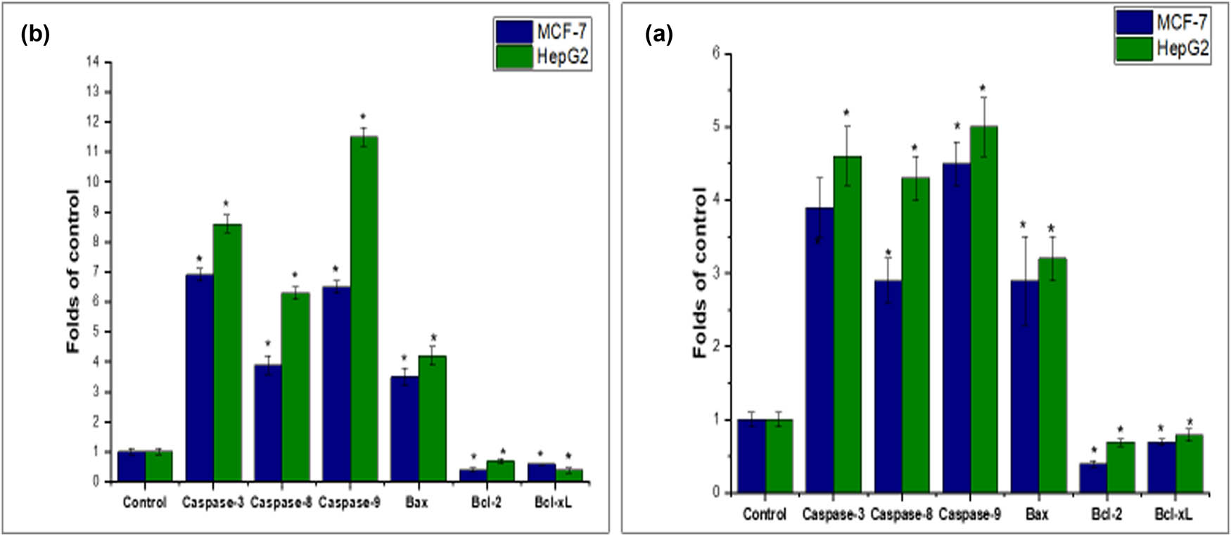 Figure 8 
                  Effect of aqueous T. polium leaf extract (35 μg·mL−1) (a) and synthesized AgNPs (15 μg·mL−1) (b) on MCF-7 and HepG2 cell lines. Synthesized AgNPs treated MCF-7 and HepG2 cells showed an increased percentage of the apoptotic population (caspase 3, 8, and 9 and Bax) after 24 h incubation. The results are represented as the mean ± SD of three independent experiments (*p < 0.05 compared to non-treated cells [control]).
               
