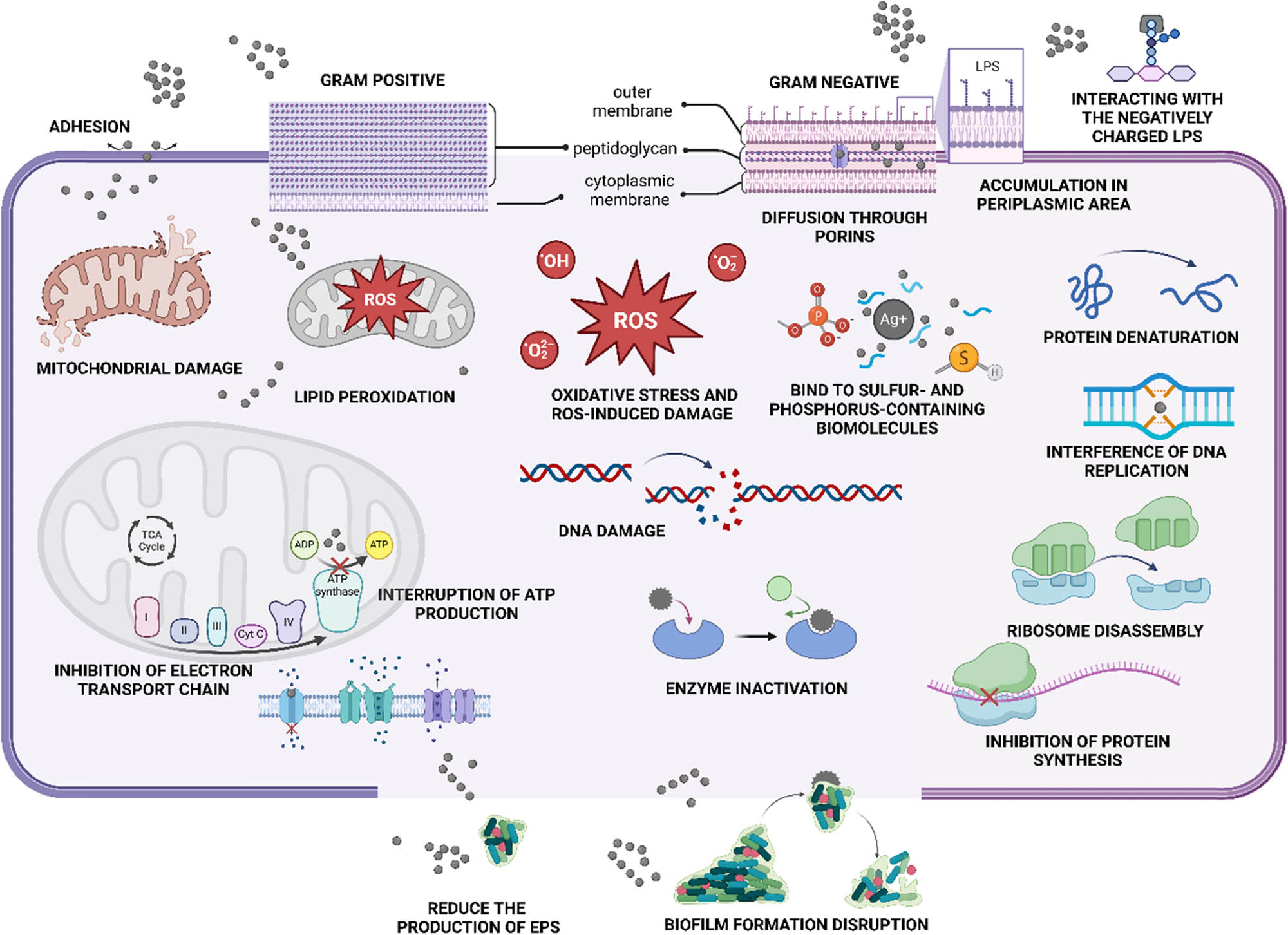 Teaser image from the article