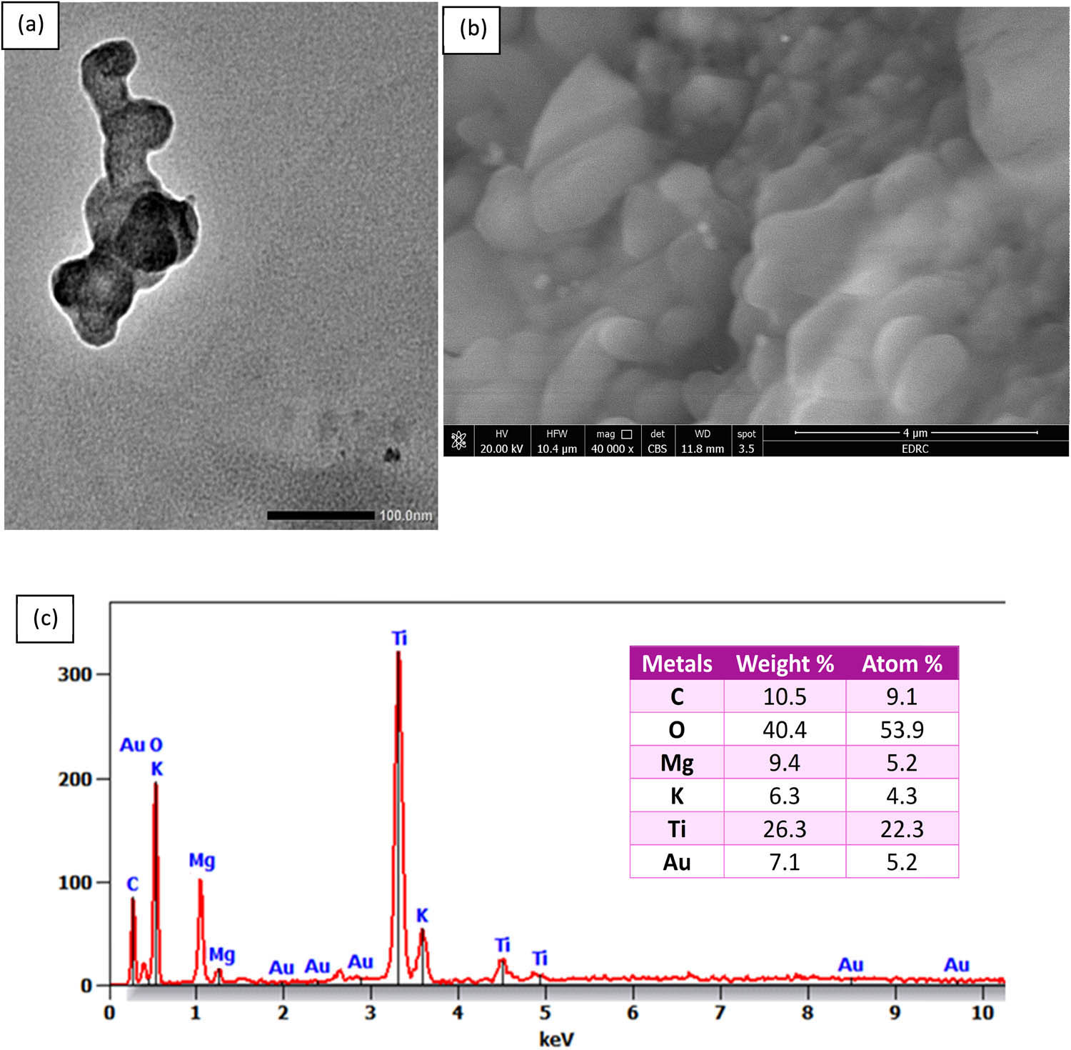 Figure 3 
                  (a) TEM image, (b) SEM image, and (c) EDX analysis of biosynthesized trimetallic TiO2–MgO–Au NPs by using banana peel extract.
               