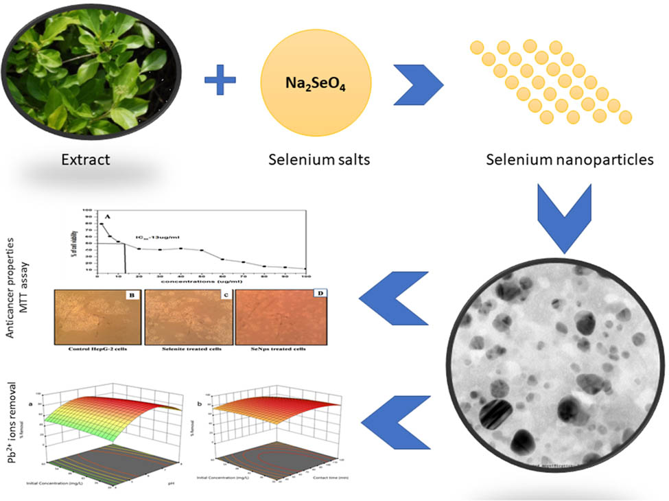 Teaser image from the article