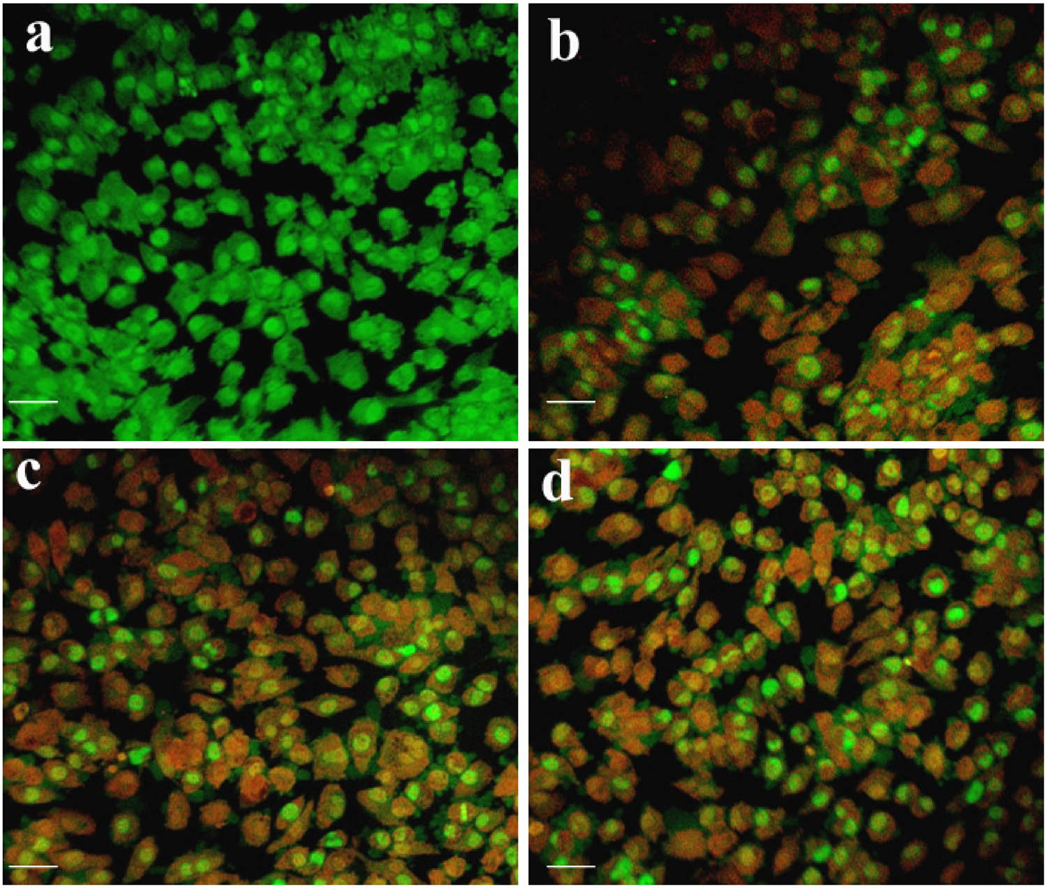 Teaser image from the article