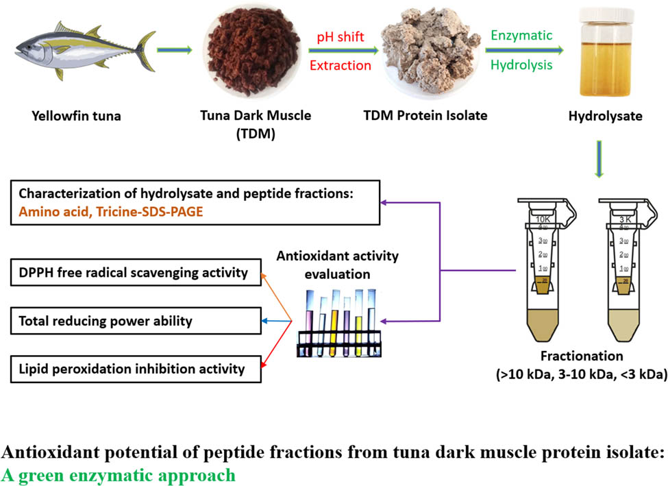 Teaser image from the article