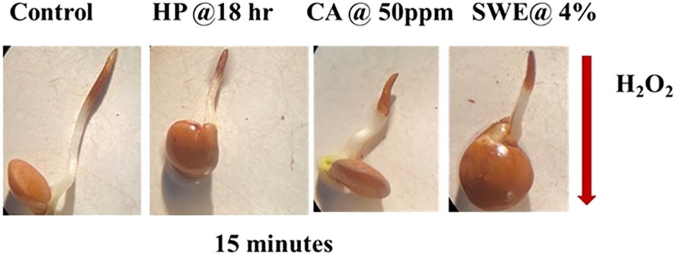 Figure 4: 
Histochemical analysis of all the treatments by using DAB solutions.
