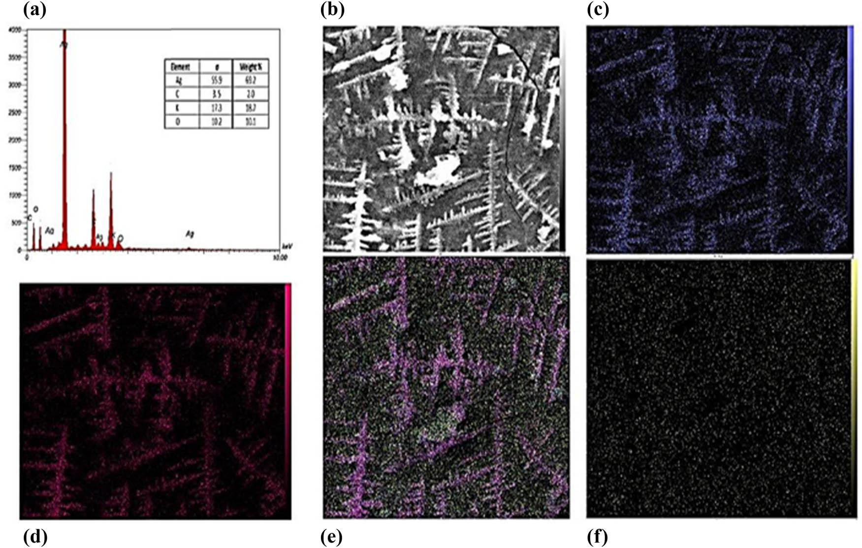 Figure 5
EDX analysis and elemental mapping for AgNPs. (a) EDX spectrum, (b) SEM image, (c) Ag, (d) carbon, (e) oxgen, and (f) potassium.