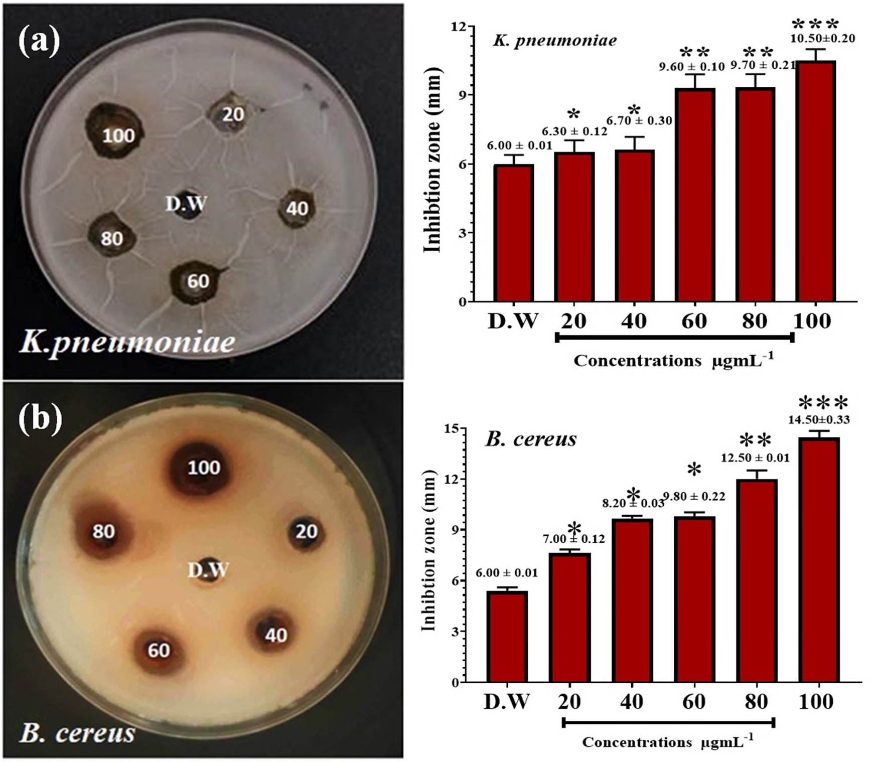 Figure 7
Antibacterial action of the extract against (a) K. pneumonia and (b) B. cereus. Deionized distilled water (D.W.) was used as a negative control. *P ≤ 0.05, **P ≤ 0.01, and ***P ≤ 0.001.