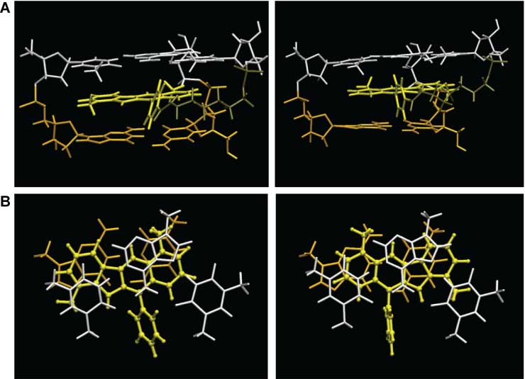Figure 10 Indoloquinoline 2c bound to triple-helical oligonucleotide.View from the major groove (A) and down the helix axis (B) on the indoloquinoline intercalation site at the triplex-duplex junction for major (left) and minor triplex (right) formed with a TFO-2c conjugate; TAT base triad is shown on top (white), CG base pair at the bottom (orange) and the ligand in the center (yellow); Hoogsteen-bound third strand thymines are visible on the right-hand side in (B).